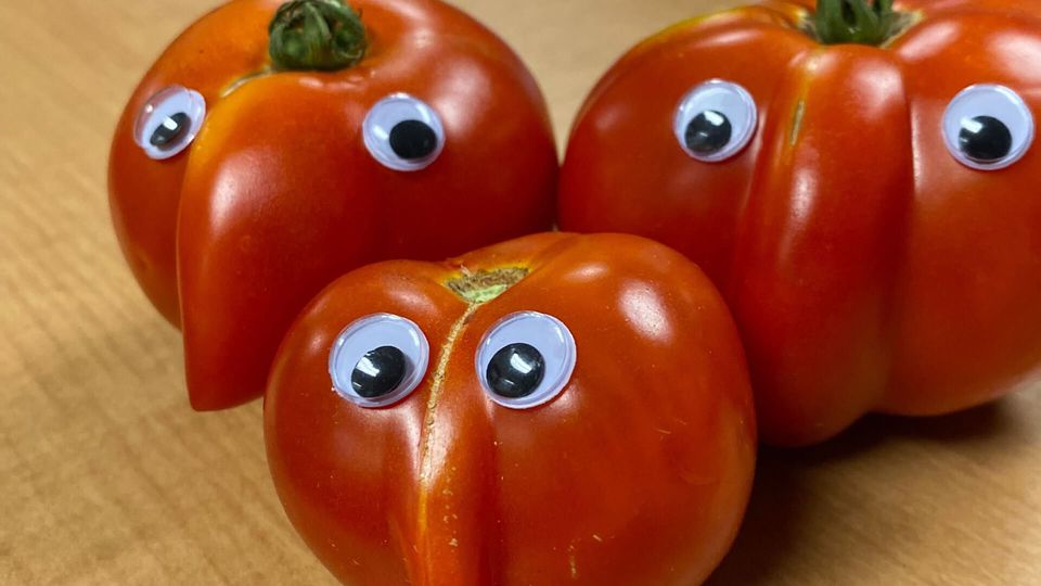 Gustavo Araoz Shares a Garden Sensation: Exquisite Homegrown Tomatoes